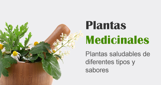 Plantas medicinales de Herboristería 