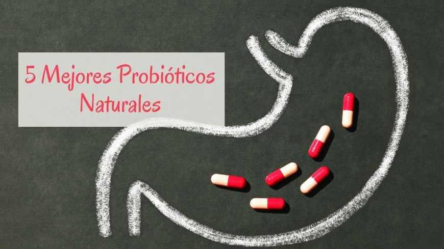Los 5 Probióticos Naturales Más Efectivos para tu Bienestar